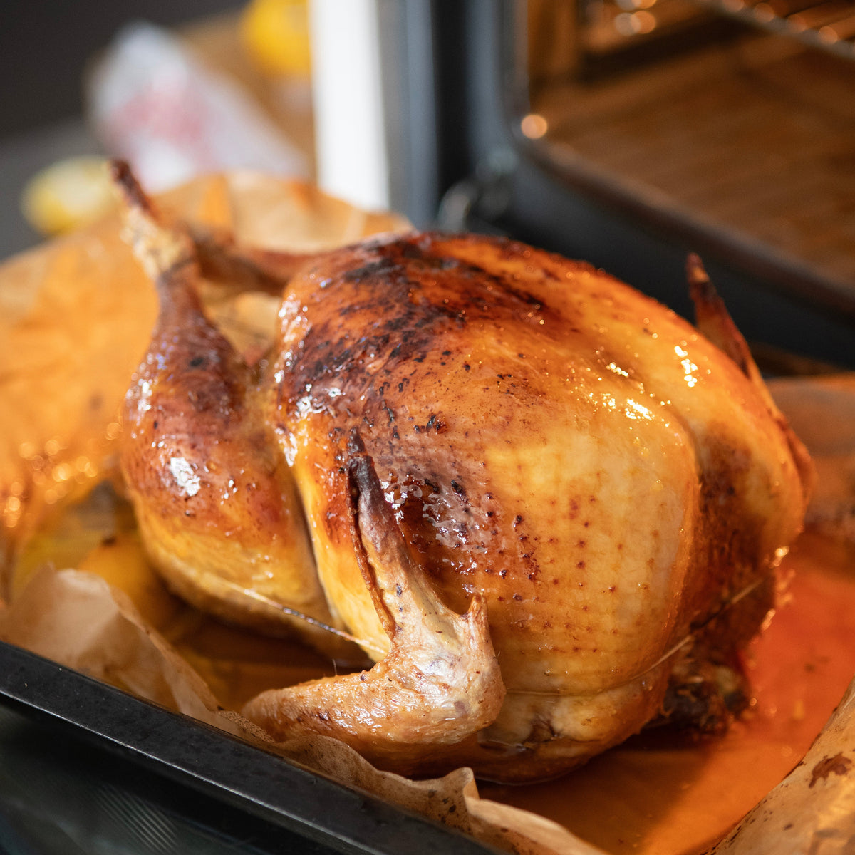 White Free Range Turkey