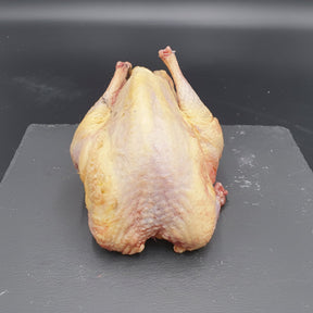 Pheasant