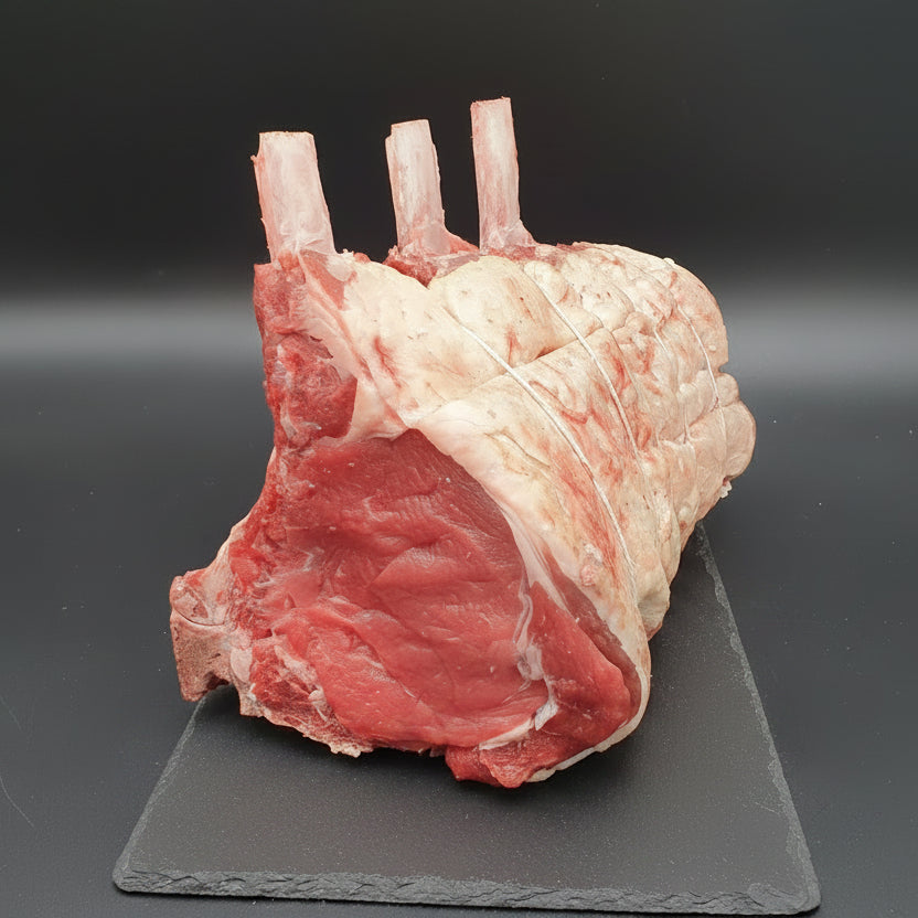 Wing Rib