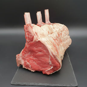 Wing Rib