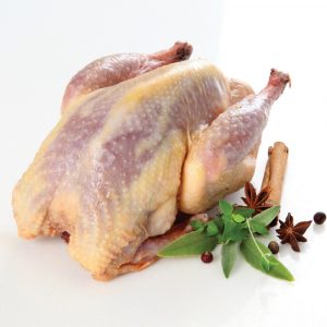 Pheasant
