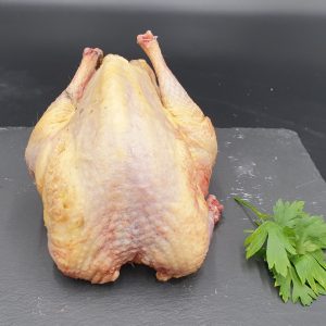 Pheasant